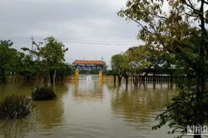 Mưa lũ đang diễn biến phức tạp, ngành giáo cho học sinh toàn tỉnh nghỉ học.