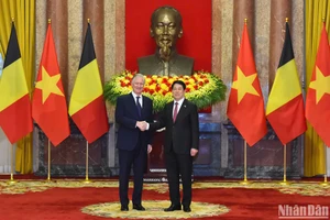 Chủ tịch nước Lương Cường hội kiến Nhà vua Bỉ Philippe. 