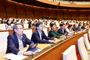 Các đại biểu Quốc hội biểu quyết thông qua luật, nghị quyết tại Kỳ họp thứ 8, Quốc hội khóa XV. (Ảnh: TTXVN)