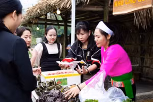 Một gian hàng bán chợ quê tại huyện Ba Vì.