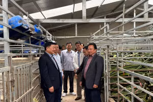 Đồng chí Lò VĂn Phương (đầu tiên bên trái) Chủ tịch Hội đồng nhân dân tỉnh Điện Biên cùng đoàn đại biểu hội đồng nhân dân các tỉnh bắc Lào thăm mô hình nuôi hươu sao tại huyện Điện Biên.