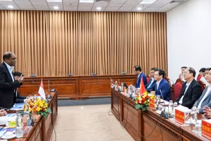 Quang cảnh một buổi làm việc về thúc đẩy hợp tác giữa Singapore và tỉnh Cà Mau, Việt Nam. (Ảnh Đại sứ quán Singapore tại Việt Nam) 