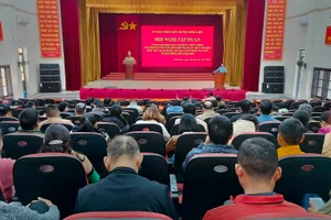  Quang cảnh lớp tập huấn