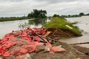 Sự cố vỡ kênh tiêu ở Nghệ An đã được khắc phục hoàn toàn