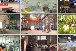 Kinh tế tư nhân - động lực quan trọng của nền kinh tế 