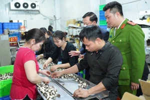 Các cơ quan chức năng kiểm tra công tác bảo đảm an toàn thực phẩm trên địa bàn thành phố Hà Nội.