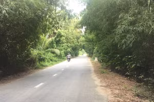 Xây dựng đường bê tông nông thôn ở vùng đồng bào dân tộc sinh sống tại huyện Tri Tôn, tỉnh An Giang.