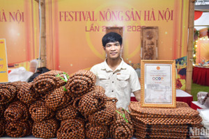 Trước yêu cầu chuyển đổi số của nền kinh tế, quá trình triển khai Chương trình OCOP cần tập trung vào hoạt động gì?