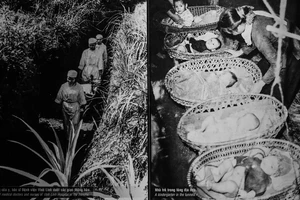 Anh hùng Lao động Đinh Như Gia: Cần phải làm gì đó để ôn lại những ngày tháng gian khổ, hào hùng…