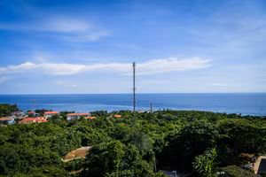 Câu chuyện cảm động về những thanh niên xung phong tạo nên sức sống cho đảo Cồn Cỏ