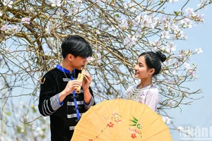 Ảnh minh họa: THÀNH ĐẠT