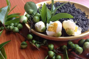 Chè Shanam - Kết tinh hương vị đất trời 