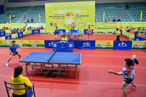 Thi đấu tại Giải vô địch bóng bàn quốc gia Báo Nhân Dân lần thứ 40.