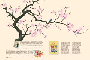 Chút an yên bên những trang sách đầu xuân