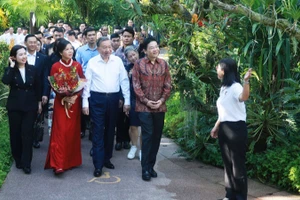 Tổng Bí thư Tô Lâm và Phu nhân cùng Thủ tướng Singapore Lawrence Wong tham quan Vườn Thực vật Singapore. (Ảnh: Thống Nhất/TTXVN) 