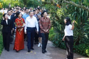 Tổng Bí thư Tô Lâm và Phu nhân cùng Thủ tướng Singapore Lawrence Wong tham quan Vườn Thực vật Singapore. (Ảnh: Thống Nhất/TTXVN) 