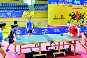 Các vận động viên tập luyện, làm quen với điều kiện thi đấu tại Cung Thể thao Tiên Sơn. (Ảnh: DUY LINH)