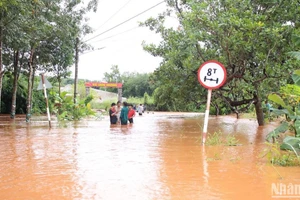 Mưa lớn gây ngập cục bộ nhiều nơi ở Bình Phước.