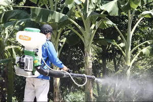 Xã Gia Xuyên phun hóa chất diệt muỗi phòng trừ dịch sốt xuất huyết.