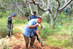 Ông Trần Đức Thi cùng thành viên Đội K51 đào tìm mộ em trai Liệt sĩ Trần Huy Luận.