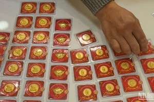 (Ảnh: THÀNH ĐẠT)