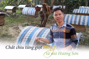 Chắt chiu giọt vàng từ núi Hương Sơn