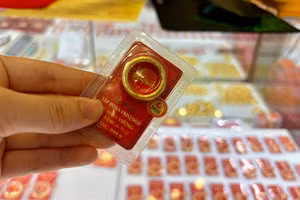 (Ảnh: NGỌC BÍCH)