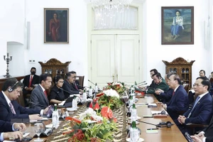 Chủ tịch nước Nguyễn Xuân Phúc hội đàm với Tổng thống Indonesia Joko Widodo. (Ảnh: TTXVN)