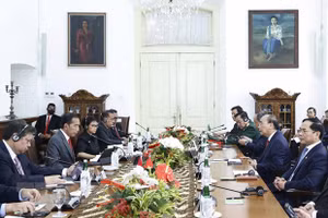 Chủ tịch nước Nguyễn Xuân Phúc hội đàm với Tổng thống Indonesia Joko Widodo. (Ảnh: TTXVN)