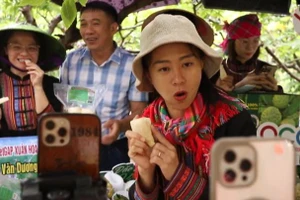 Các nhóm livestream quảng bá, bán na La Hiên và nông sản Thái Nguyên trên mạng xã hội.