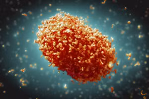 (Ảnh: Tổ chức Y tế Thế giới)