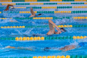 Các vận động viên nữ tranh tài ở nội dung bơi tự do tại vòng loại. 