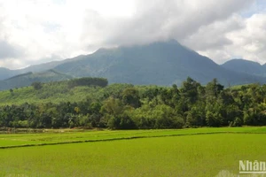 Núi Cao Muôn ở xã Ba Vinh, huyện Ba Tơ (Quảng Ngãi), nơi Đội du kích Ba Tơ huyền thoại hô vang lời thề: “Hy sinh vì Tổ quốc”.