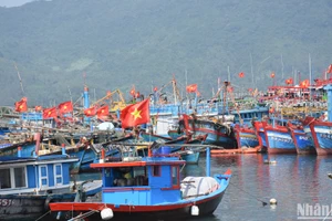 Hàng trăm tàu cá của ngư dân khu vực miền trung đang neo đậu tại Âu thuyền và cảng cá Thọ Quang sẽ ra khơi cho chuyến biển đầu năm trong vài ngày tới.