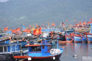 Hàng trăm tàu cá của ngư dân khu vực miền trung đang neo đậu tại Âu thuyền và cảng cá Thọ Quang sẽ ra khơi cho chuyến biển đầu năm trong vài ngày tới.