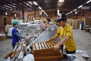 Dây chuyền sản xuất gỗ tại Công ty sản xuất gỗ Vinafor Đà Nẵng, ảnh K.H