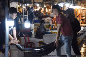 Không khí mua bán tấp nập tại Cảng cá Thọ Quang rạng sáng ngày 7/2 (28 Tết), ảnh ANH ĐÀO