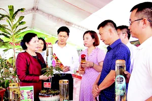 Lãnh đạo tỉnh Lai Châu khảo sát các mô hình phát triển kinh tế tại địa phương.