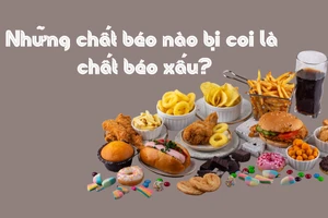 Những chất béo nào bị coi là chất béo xấu?