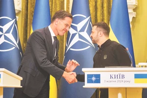 Tổng Thư ký NATO Mark Rutte (trái) và Tổng thống Ukraine Volodymyr Zelensky bắt tay sau cuộc họp báo tại Kiev ngày 3/10. Ảnh | AFP