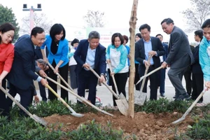Các đại biểu và cán bộ hội viên, phụ nữ tham gia trồng cây. 