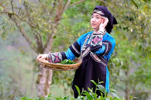 Thí sinh Lồ Phà Tú Anh và bộ trang phục truyền thống dân tộc Bố Y trong tác phẩm dự thi. 