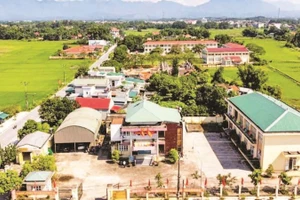 Các mô hình sản xuất nông nghiệp tập trung đã tạo động lực để xã Đầm Hà phát triển bền vững.