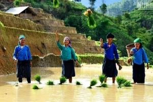 Trang phục truyền thống của dân tộc Nùng cả nước nói chung, cũng như dân tộc Nùng sinh sống ở Cao Bằng nói riêng chính là những bộ quần áo mang sắc chàm duyên dáng. (Ảnh: Thành Đạt)