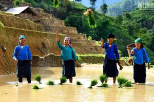 Trang phục truyền thống của dân tộc Nùng cả nước nói chung, cũng như dân tộc Nùng sinh sống ở Cao Bằng nói riêng chính là những bộ quần áo mang sắc chàm duyên dáng. (Ảnh: Thành Đạt)