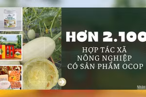 [Infographic] Hơn 2.100 hợp tác xã nông nghiệp có sản phẩm OCOP