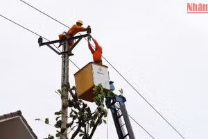 Công nhân ngành điện Quảng Ngãi không ngơi nghỉ, khắc phục sự cố lưới điện sao bão số 4. (Ảnh: HIỂN CỪ)