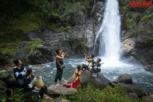 (Ảnh: Thành Đạt)