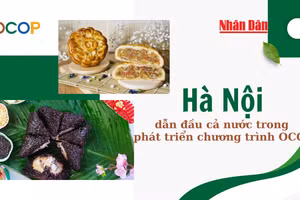 [Infographic] Hà Nội dẫn đầu cả nước trong phát triển chương trình OCOP