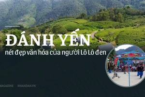 Đánh yến - Nét đẹp văn hóa của người Lô Lô đen